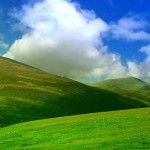 paysage